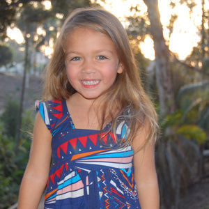 Anthem of the Ants wild flag print sundress